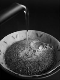 Photo of SIBARIST GRAYCANO Special Edition Coffee Filters ( ) [ Sibarist ] [ Paper Filters ]