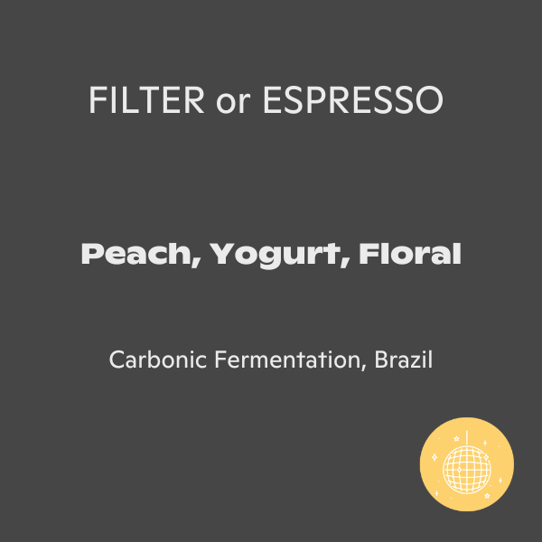 Photo of Assembly Coffee - Brazil Lacti ( ) [ Assembly Coffee ] [ Coffee ]
