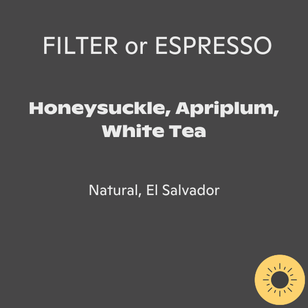 Photo of Cupping Room - Angelino Landaverde Gesha ( ) [ Cupping Room ] [ Coffee ]