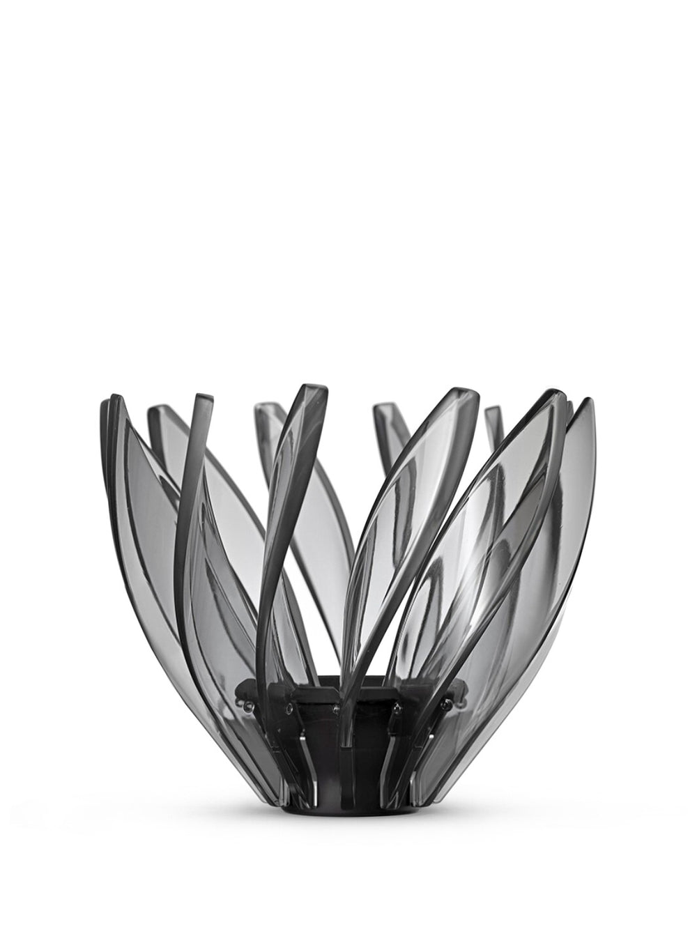 Photo of HARIO V60-02 Suiren Dripper ( ) [ HARIO ] [ Pourover Brewers ]