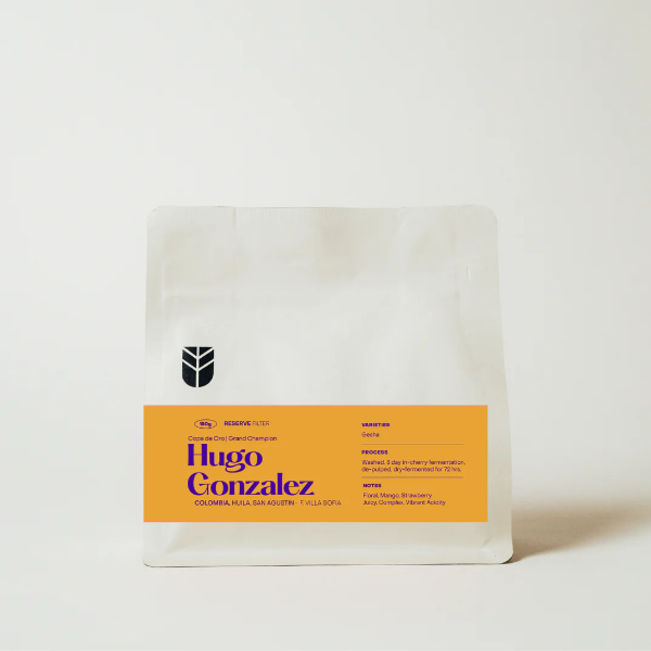 Subtext - Hugo Gonzalez