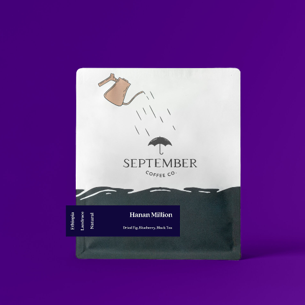 September - Hanan Million