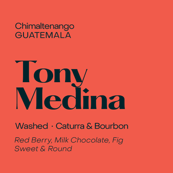 Photo of Subtext - Tony Medina: Caturra & Bourbon ( Default Title ) [ Subtext Coffee Roasters ] [ Coffee ]