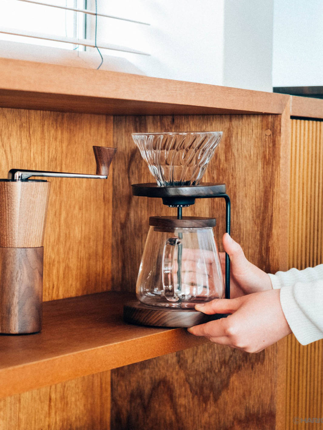 HARIO V60-02 Glass Dripper (Walnut)