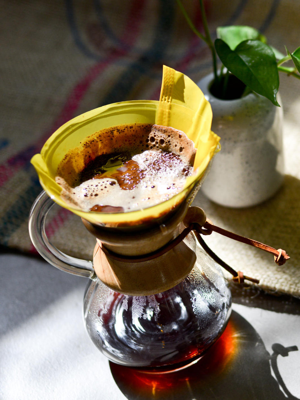 Photo of PRECISE BREW CHEMEX® 6-Cup Filters ( ) [ Precise Brew ] [ Cloth Filters ]