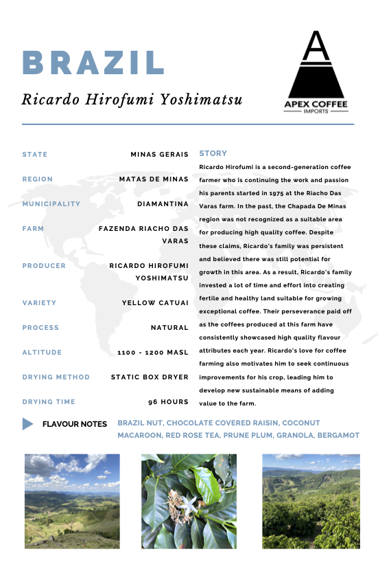 Photo of Green coffee - Ricardo Hirofumi Yoshimatsu, Brazil ( ) [ Apex Coffee Imports ] [ Green Coffee ]