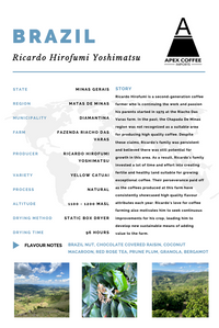 Photo of Green coffee - Ricardo Hirofumi Yoshimatsu, Brazil ( ) [ Apex Coffee Imports ] [ Green Coffee ]