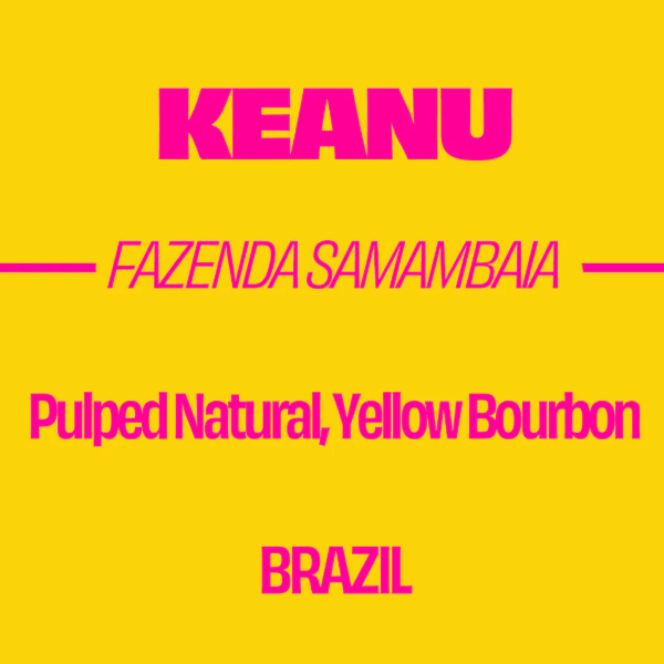 Sorellina - The Keanu