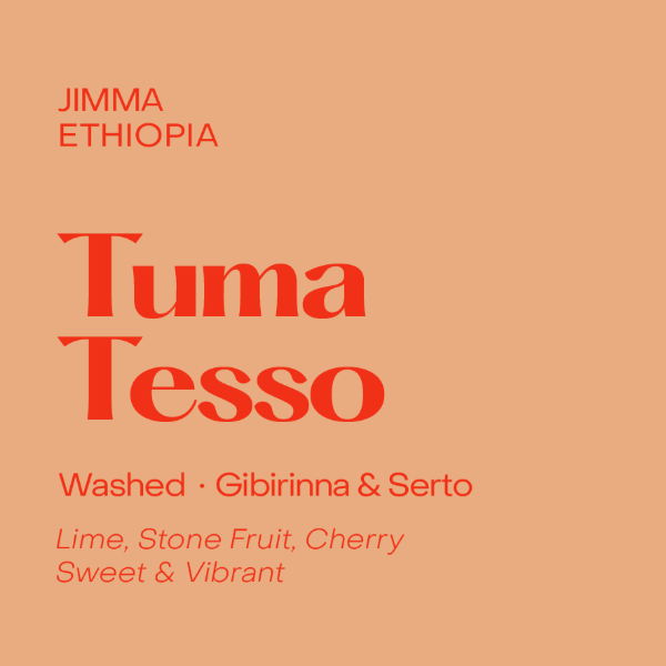 Subtext - Tuma Tesso