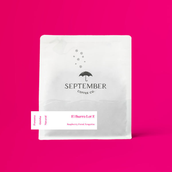 September - El Burro: Lot E