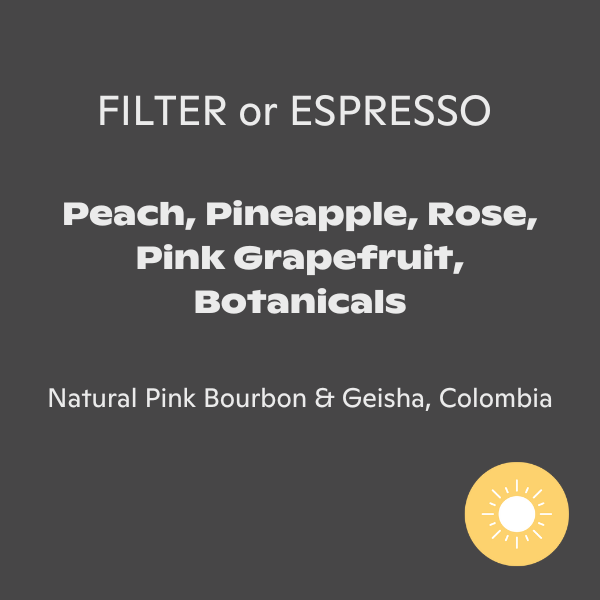 Rogue Wave Coffee - Finca El Uberrimo
