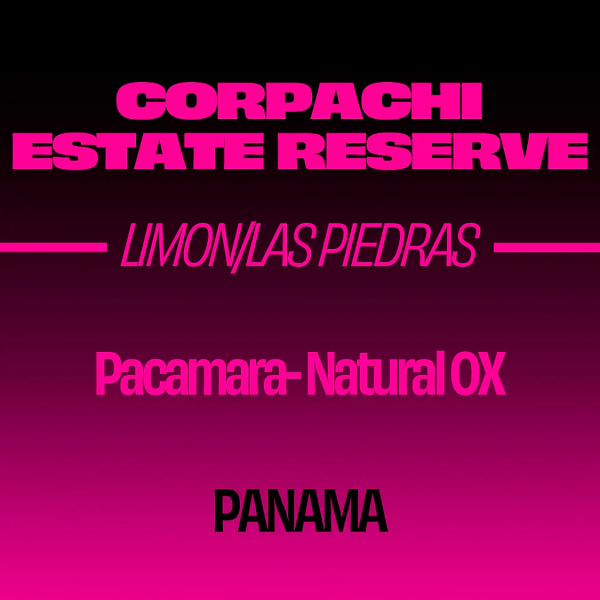 Photo of Sorellina - Corpachi Estate ( Default Title ) [ Sorellina ] [ Coffee ]