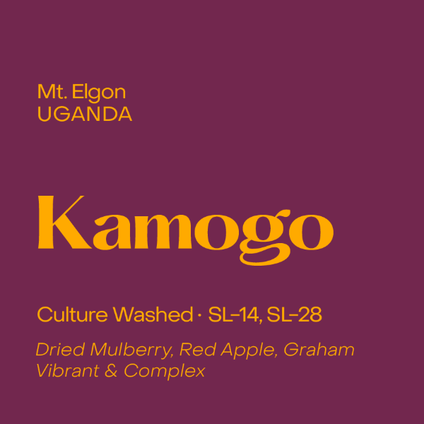 Subtext - Kamogo Espresso