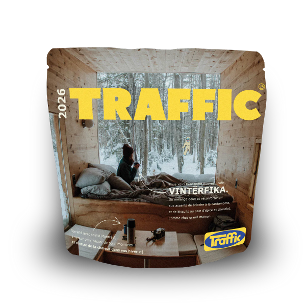 Traffic - Vinterfika
