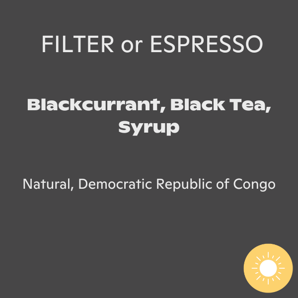 Photo of Assembly Coffee - DRC TCC Drying Bed Project ( ) [ Assembly ] [ Coffee ]