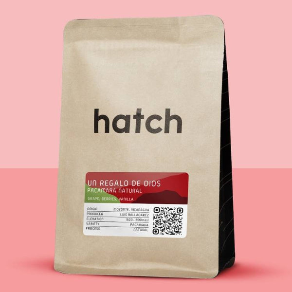 Hatch - Un Regalo De Dios: Pacamara