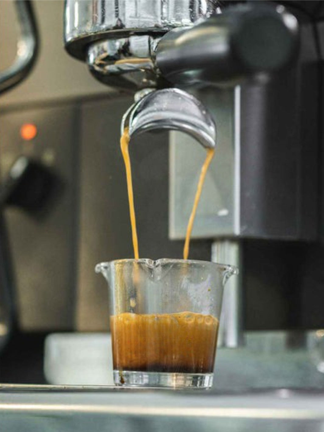 BARISTA BASICS Triple Spout Shot Glass (88.72ml/3oz)