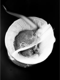 Photo of SIBARIST CONE DUAL CHAMBER Specialty Coffee Filters ( ) [ Sibarist ] [ Paper Filters ]