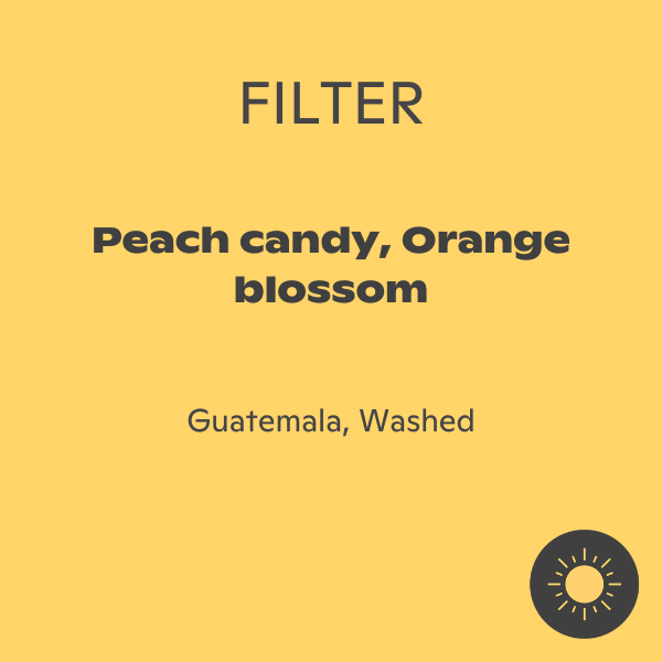 Ghost Roaster - Sebastiana Ramirez