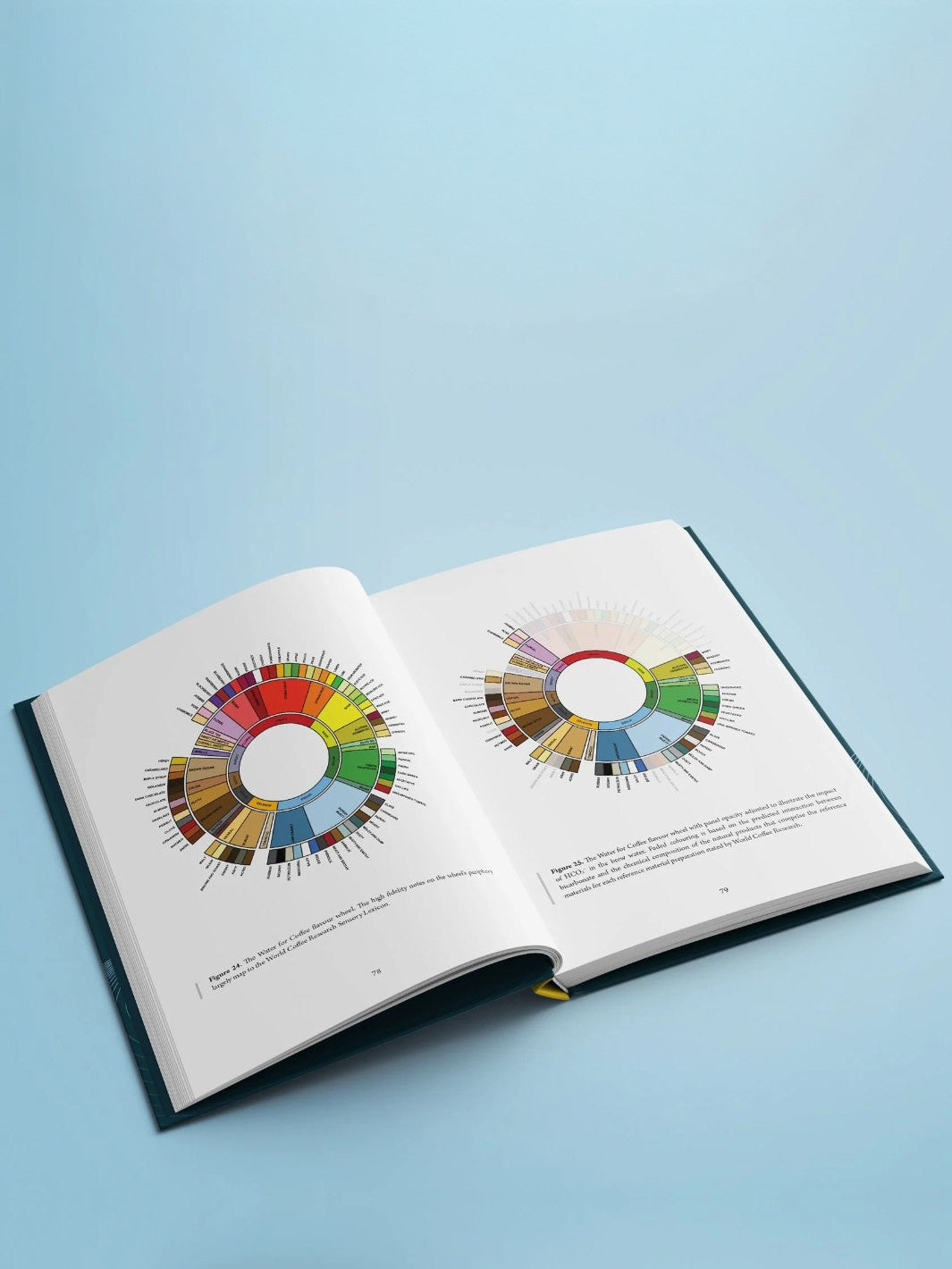 Water for Coffee (2nd Edition)