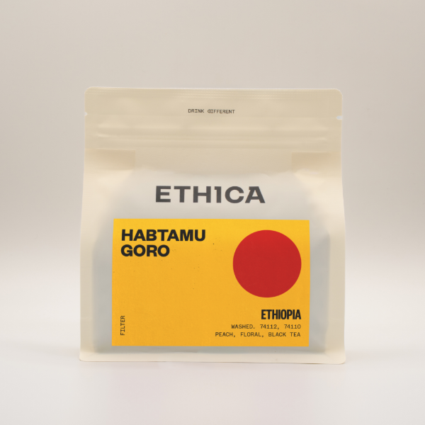 Ethica - Habtamu Goro