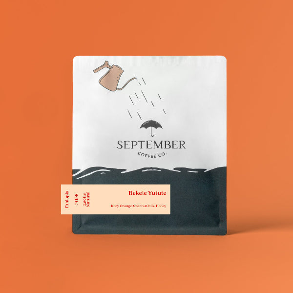 Photo of September - Bekele Yutute: Lactic Natural ( Default Title ) [ September Coffee Co ] [ Coffee ]