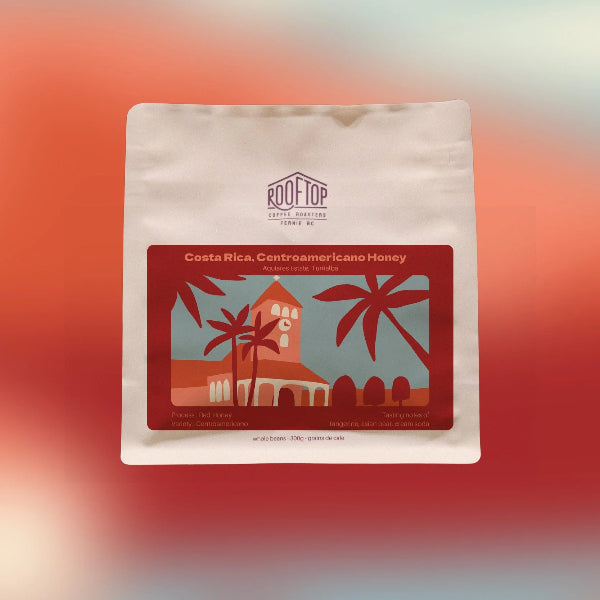 Rooftop - Centro: Honey