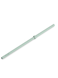 Photo of FELLOW Carter Cold Replacement Straw (16oz/474ml) ( Mint Chip ) [ Fellow ] [ Parts ]