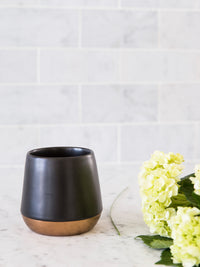 Photo of FELLOW Junior Mug (2.3oz/68ml) (2-Pack) ( ) [ Fellow ] [ Coffee Cups ]