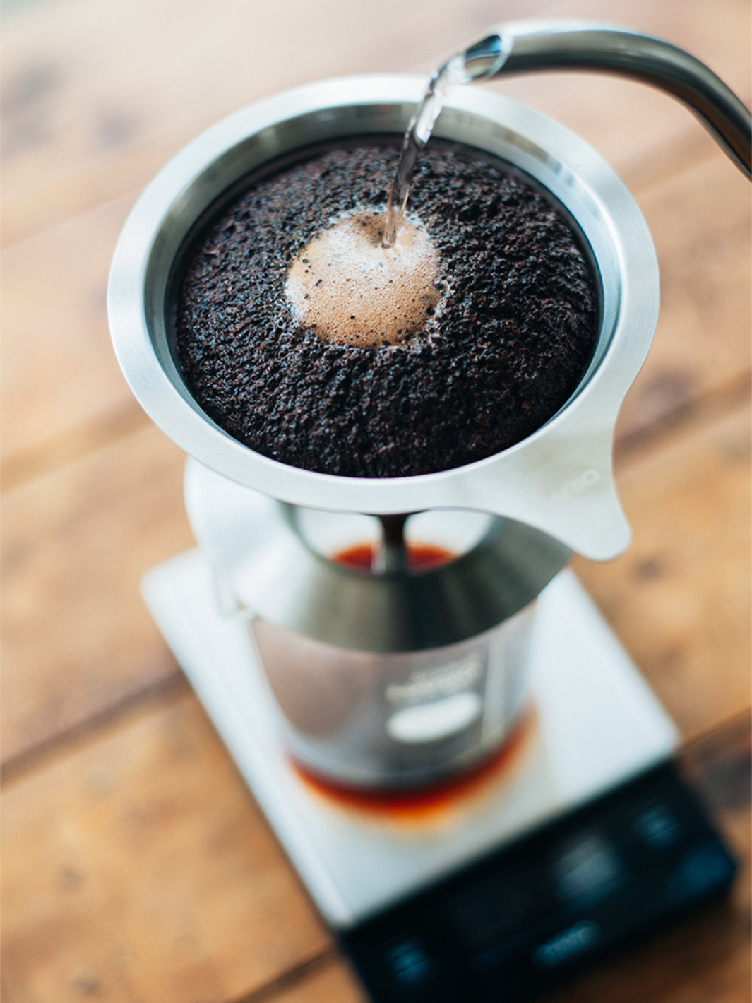 HARIO 01 Dual Mesh Filter Dripper