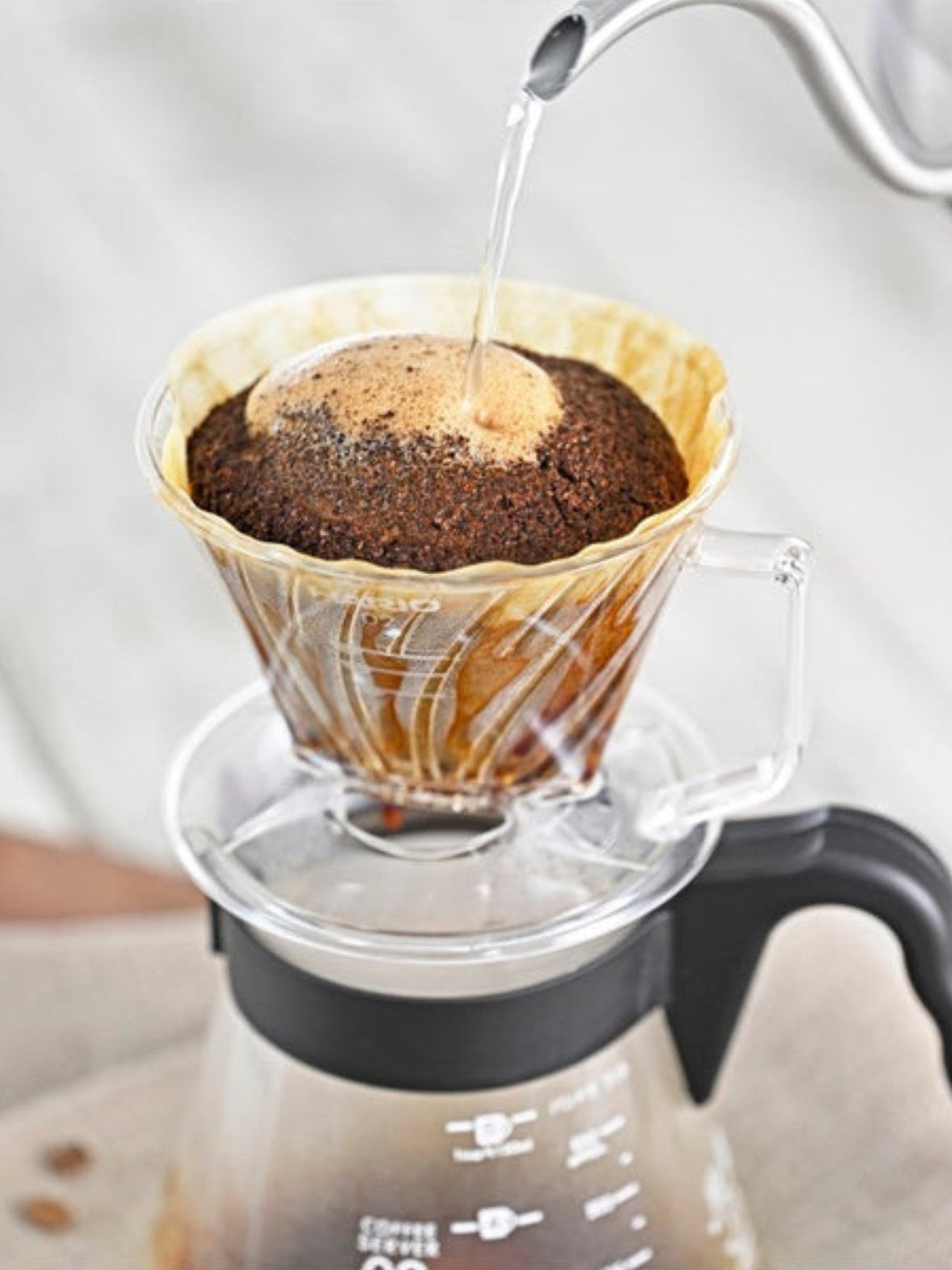 HARIO Pegasus 02 Dripper (Plastic)