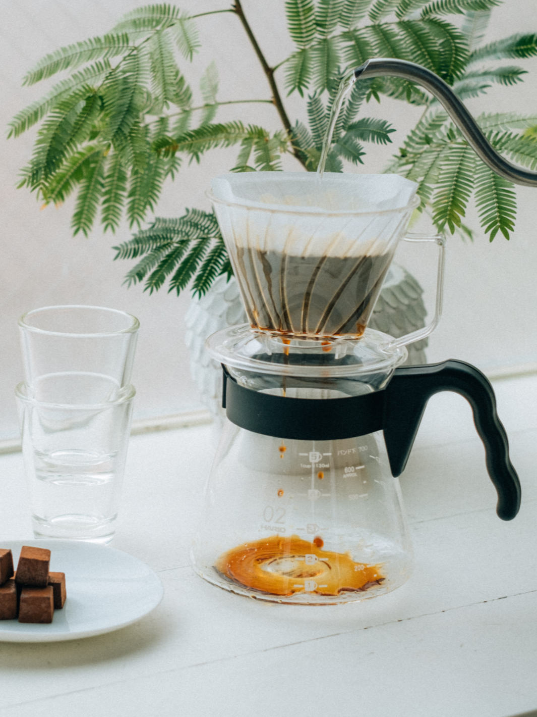 HARIO Pegasus 02 Dripper (Plastic)