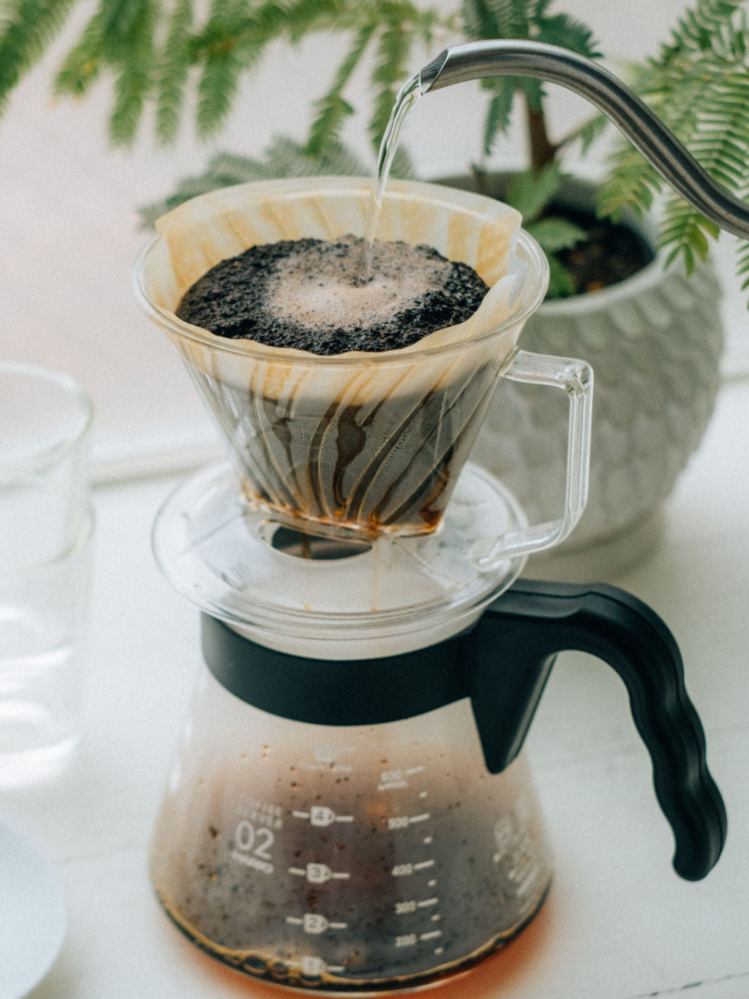 HARIO Pegasus 02 Dripper (Plastic)
