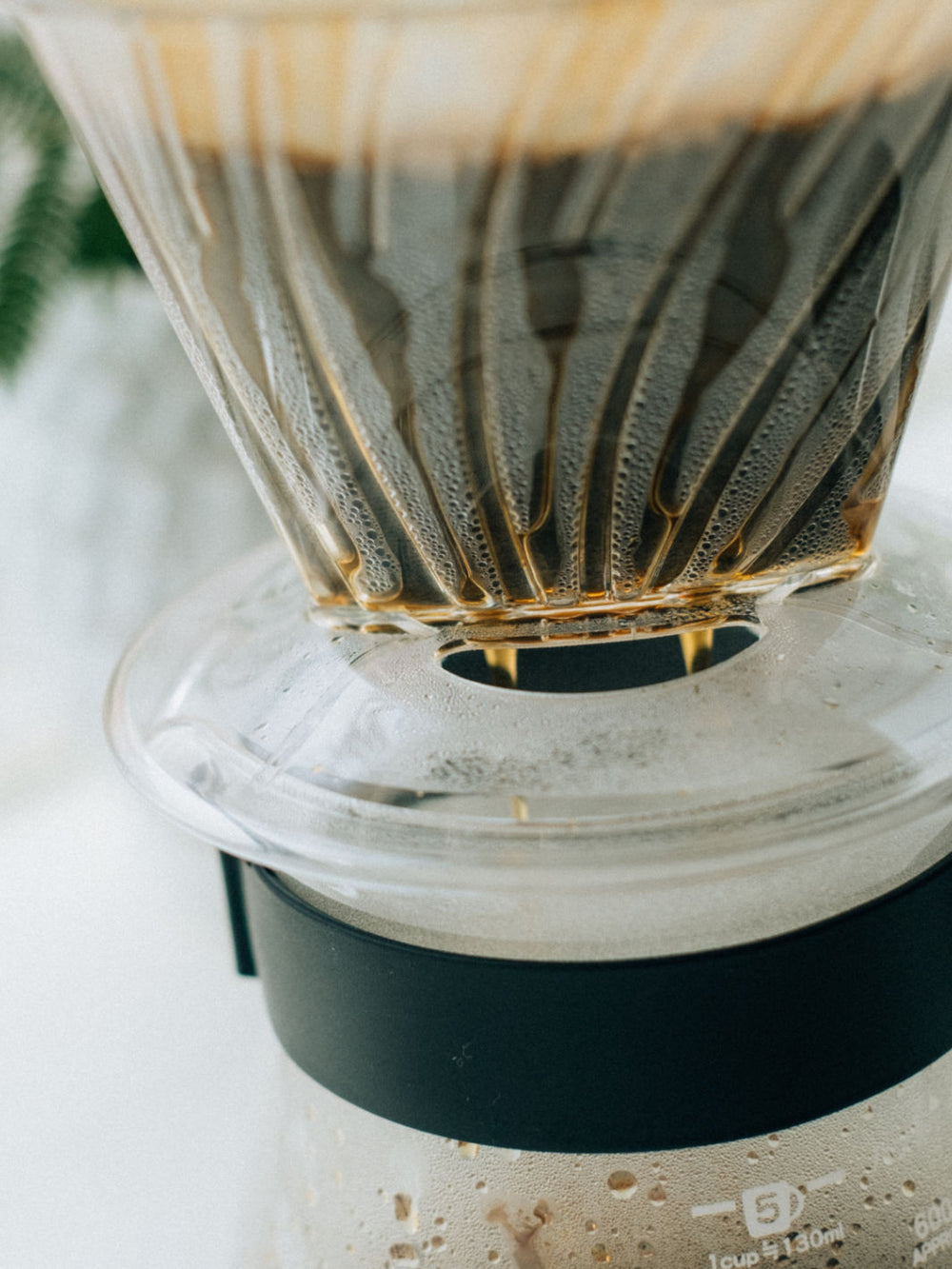 Photo of HARIO Pegasus 03 Dripper (Plastic) ( ) [ HARIO ] [ Pourover Brewers ]