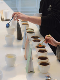 Photo of supergood Spoony™ Cupping Spoon ( ) [ supergood ] [ Cupping Tools ]