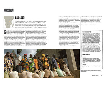 Photo of World Atlas of Coffee 2nd Edition ( Default Title ) [ Firefly Books ] [ Books ]