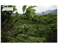Photo of World Atlas of Coffee 2nd Edition ( ) [ Firefly Books ] [ Books ]