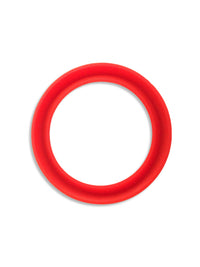 Photo of CAFELAT Robot Spare Piston Seal ( ) [ Cafelat ] [ Parts ]