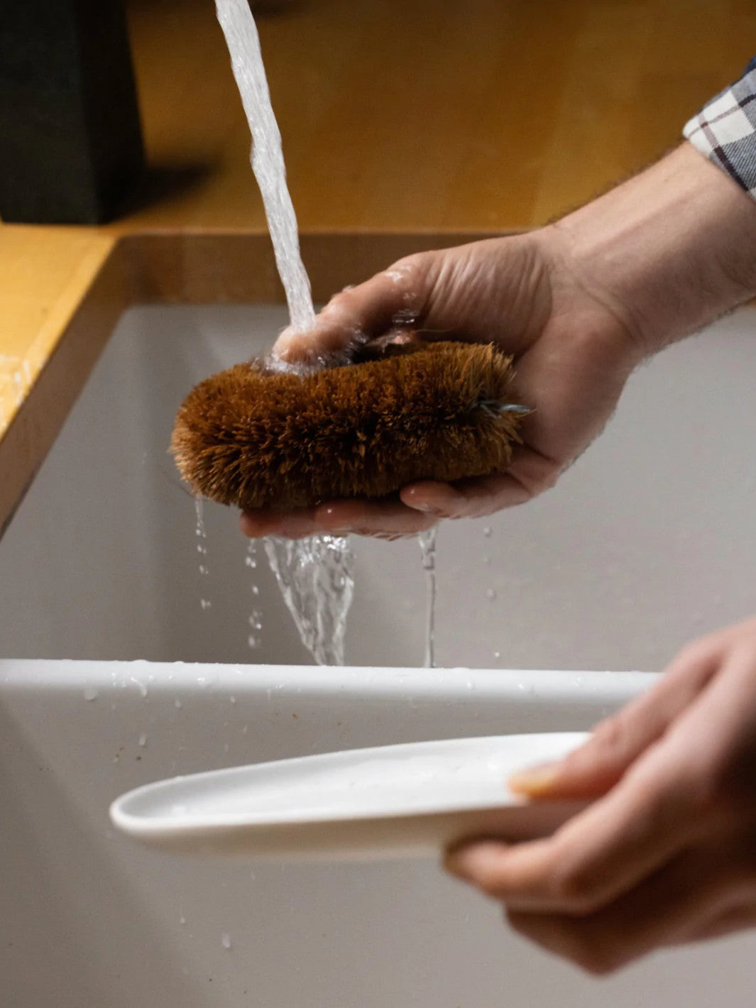 FABLE Tawashi Brush