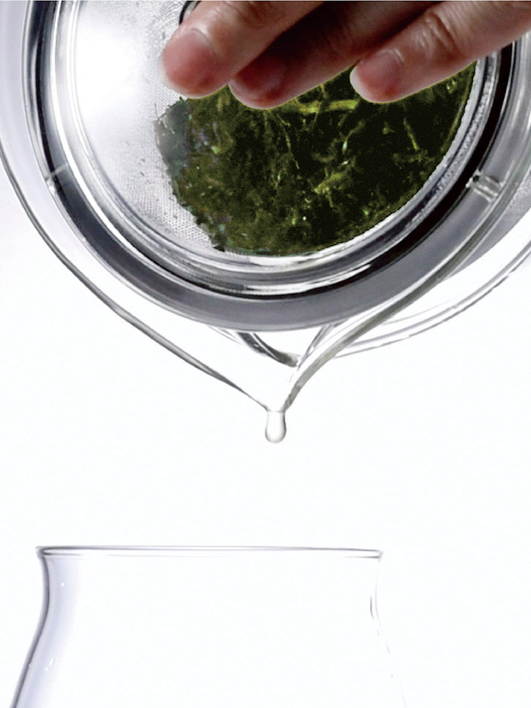 HARIO Heatproof Tea Pot (450ml/15oz)