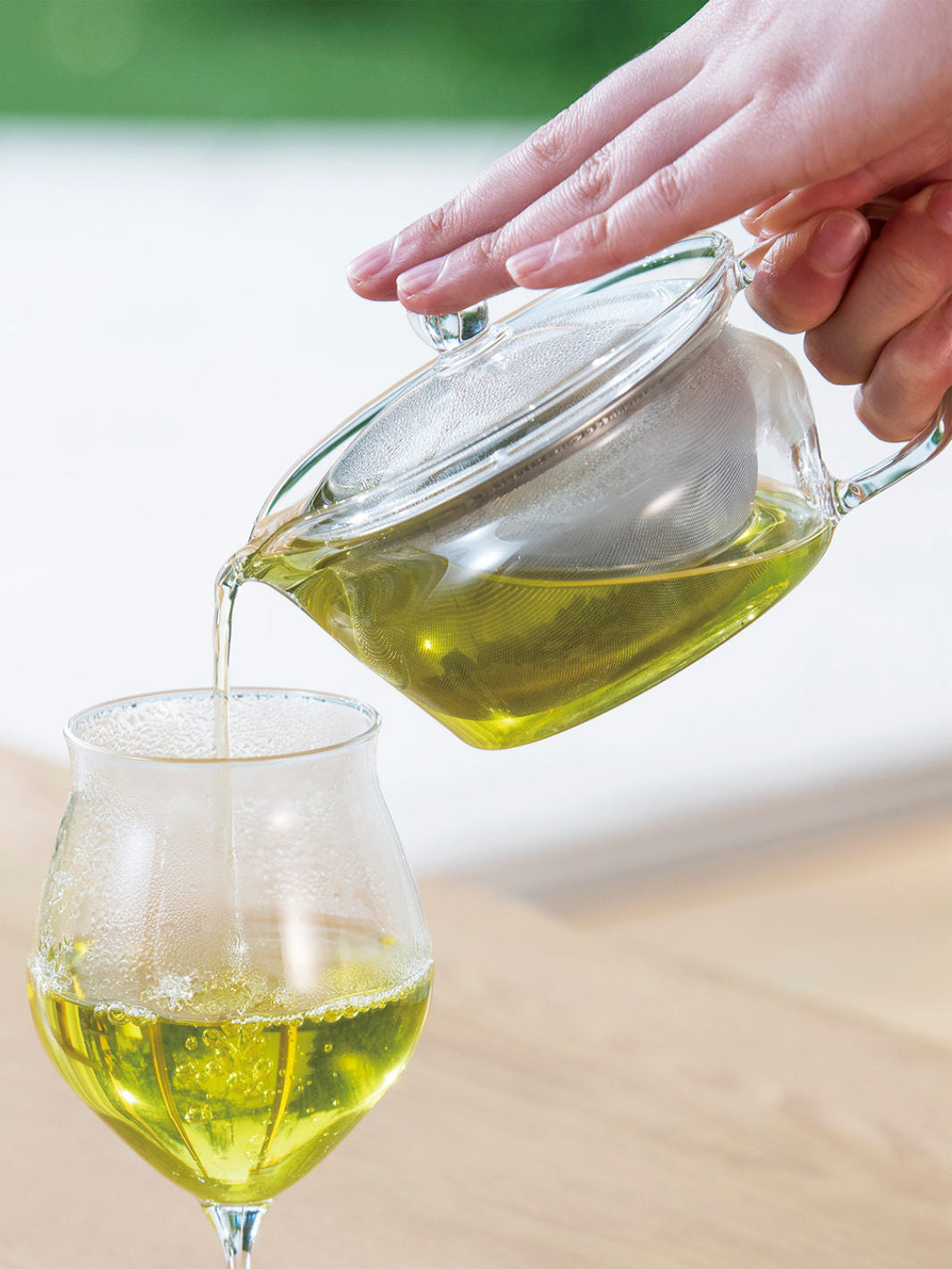 HARIO Heatproof Tea Pot (450ml/15oz)