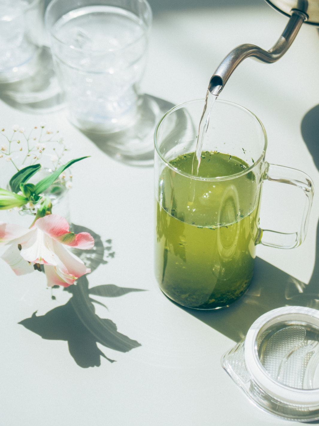 HARIO SIMPLY Glass Tea Maker