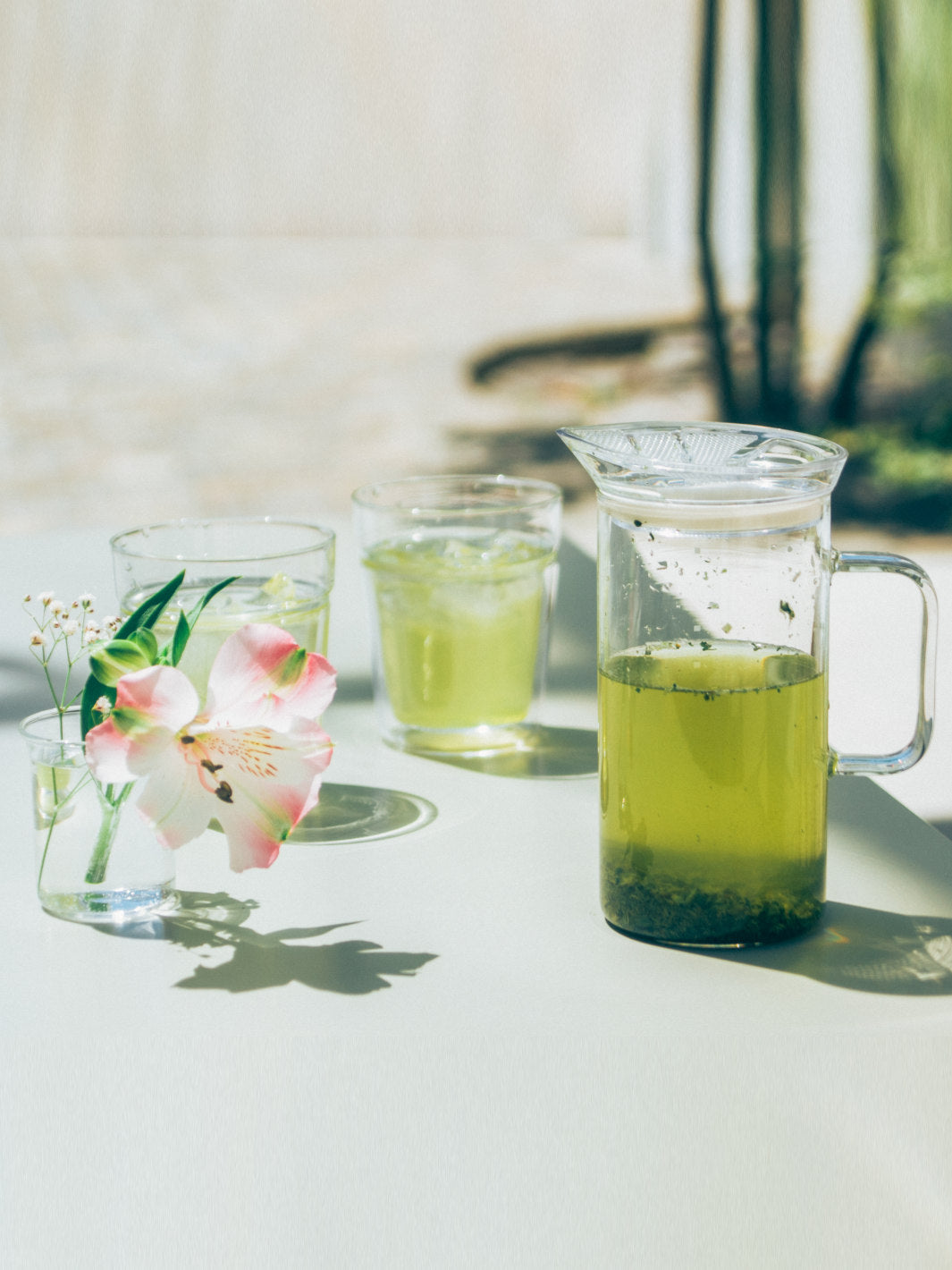HARIO SIMPLY Glass Tea Maker