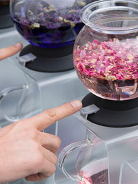 Photo of HARIO Largo Tea Brewer (800ml/27oz) ( ) [ HARIO ] [ Tea Equipment ]
