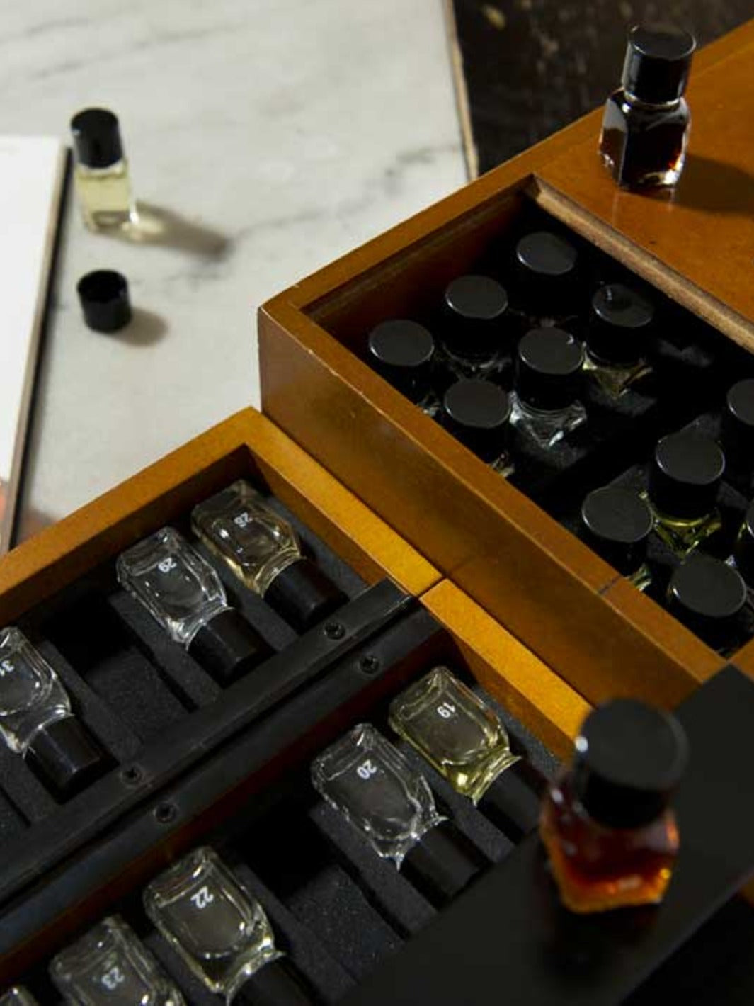Le Nez du Café Revelation (36 aromas) (English)