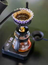 Photo of NUCLEUS Paragon (V2) ( ) [ nucleus ] [ Brewing Accessories ]